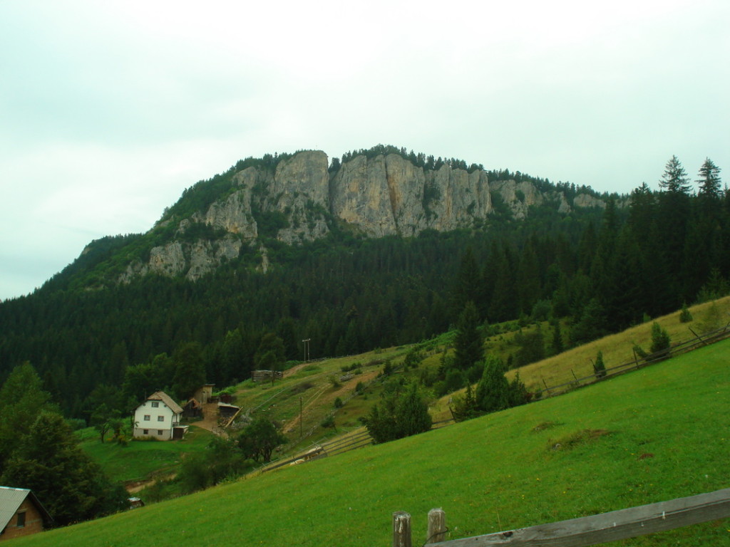 1234682_orig