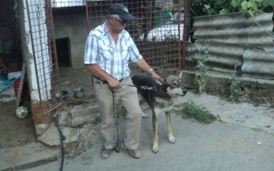 Najbolji prijatelji – Lovac i vuk