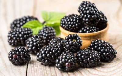 Napravite vino, medovinu i viski od kupina