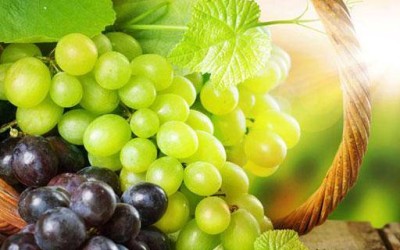 Šta je zdravije – crno ili bijelo grožđe