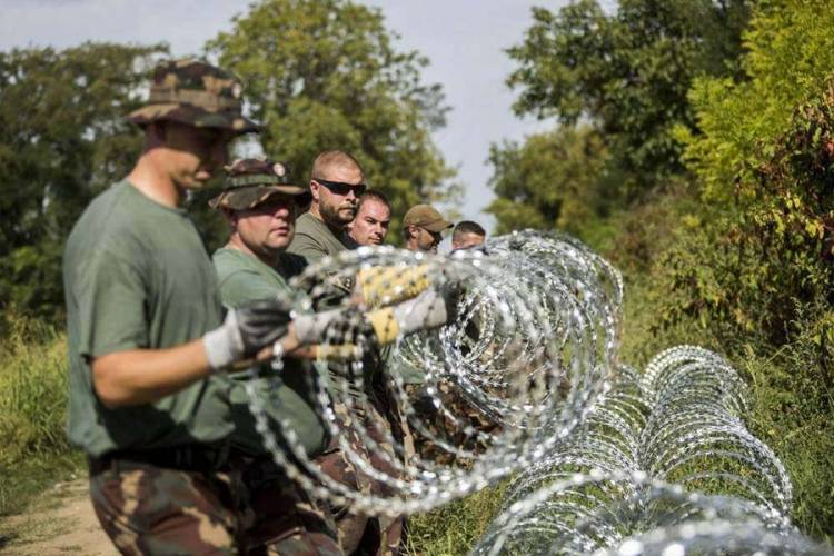 Stigla žica: Slovenija podiže ogradu na granici s Hrvatskom
