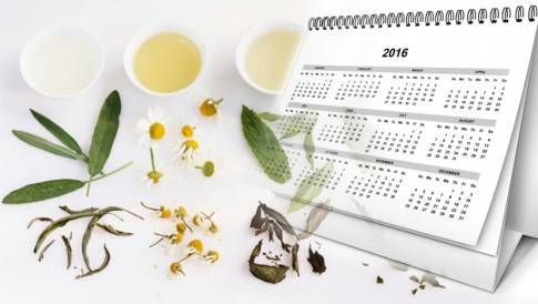 KALENDAR LEKOVITOG BILJA: Svaki mesec ima svoje biljke. Saznajte kad se koje beru