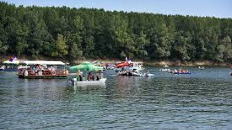 Stršljenovi izboli 40 ljudi na regati